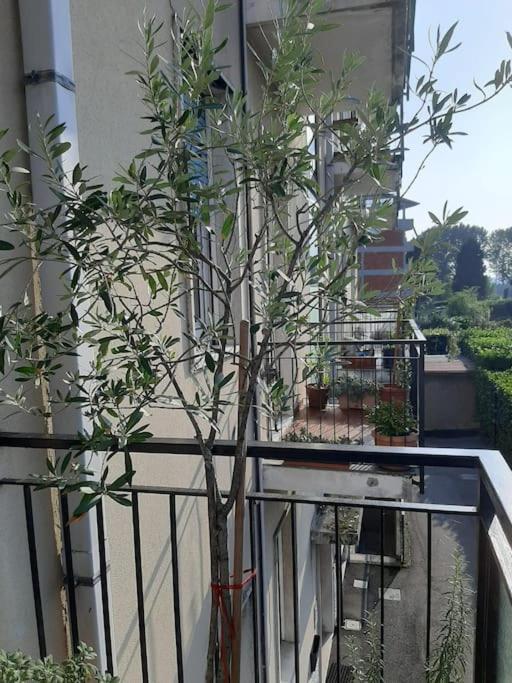 شقة Mice Ottima Soluzione Per Il Centro E La Svizzera كومو المظهر الخارجي الصورة